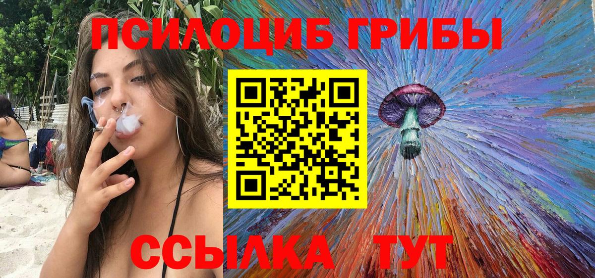 Галлюциногенные грибы Psilocybine cubensis  Вход с VPN  купить   Ковров 