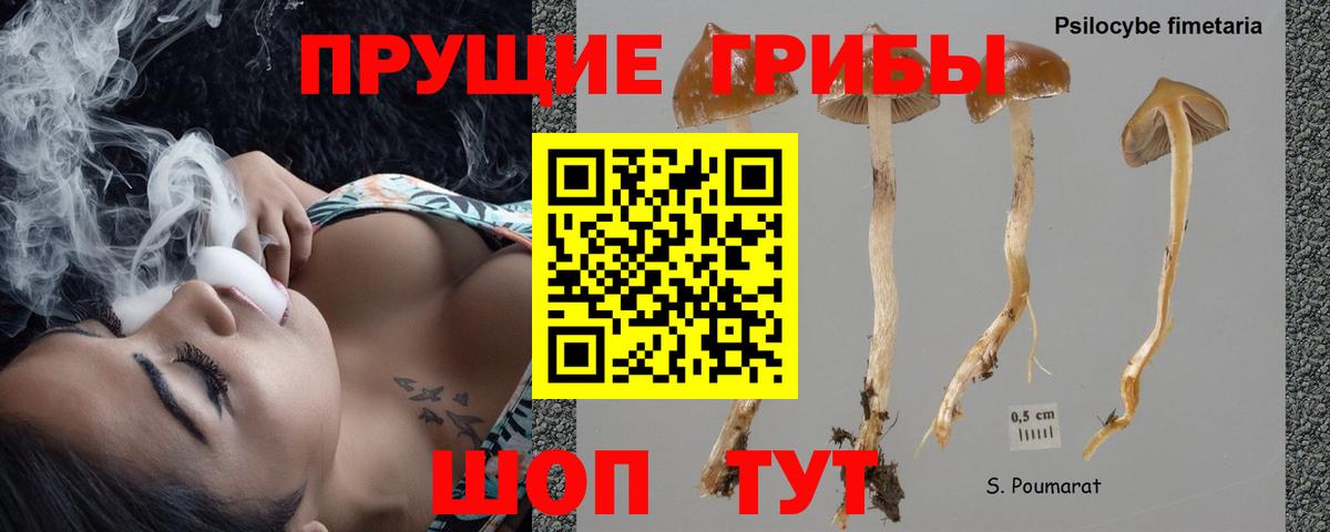 Галлюциногенные грибы MAGIC MUSHROOMS Ковров