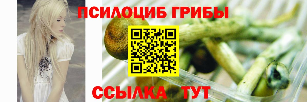ГАШИШ  MDMA  Вход с VPN  МАРИХУАНА  Меф МЯУ МЯУ   ГАШИШ  Ковров  КОКАИН 